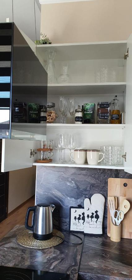 City Centre Apartment Rezekne Bagian luar foto